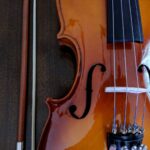 brown violin